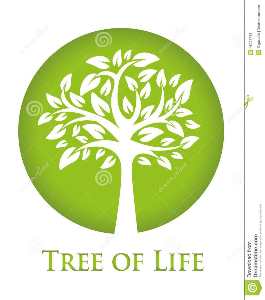 Quarter - Washington Connecticut Reverse