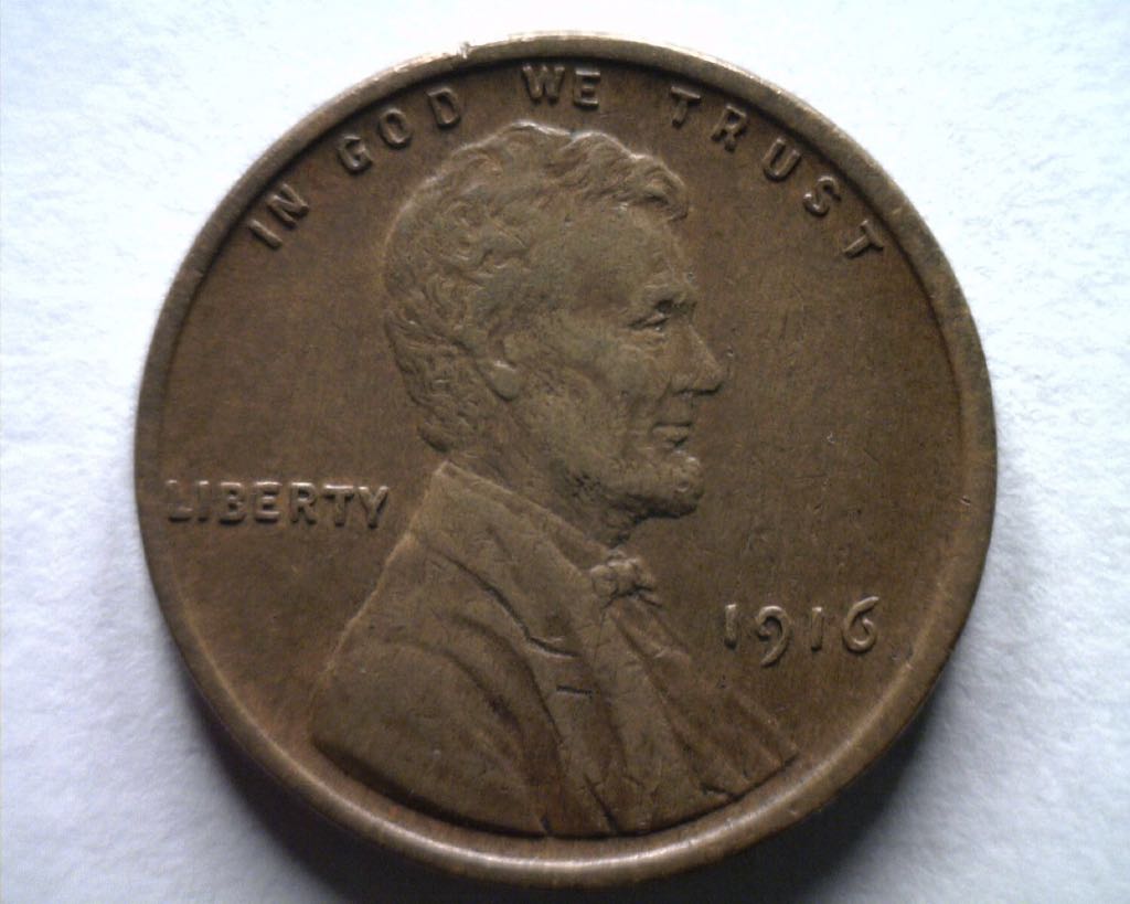 Paw Prints On The Edge- Polar Bear