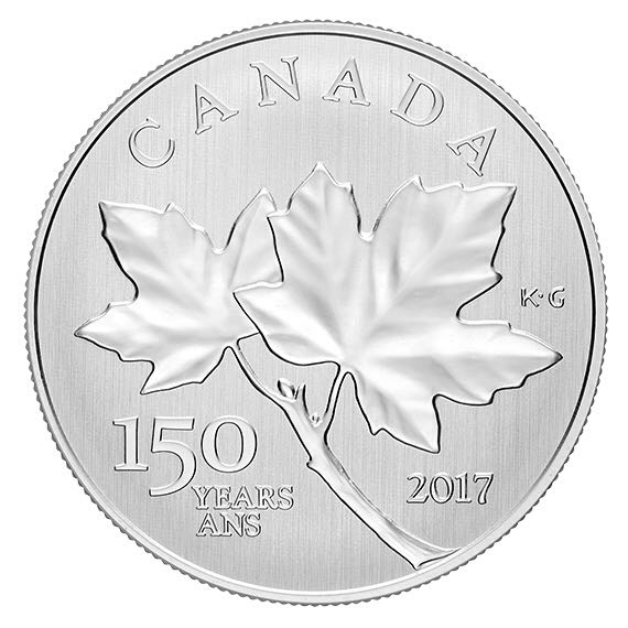 Australia Wedge-Tailed Eagle