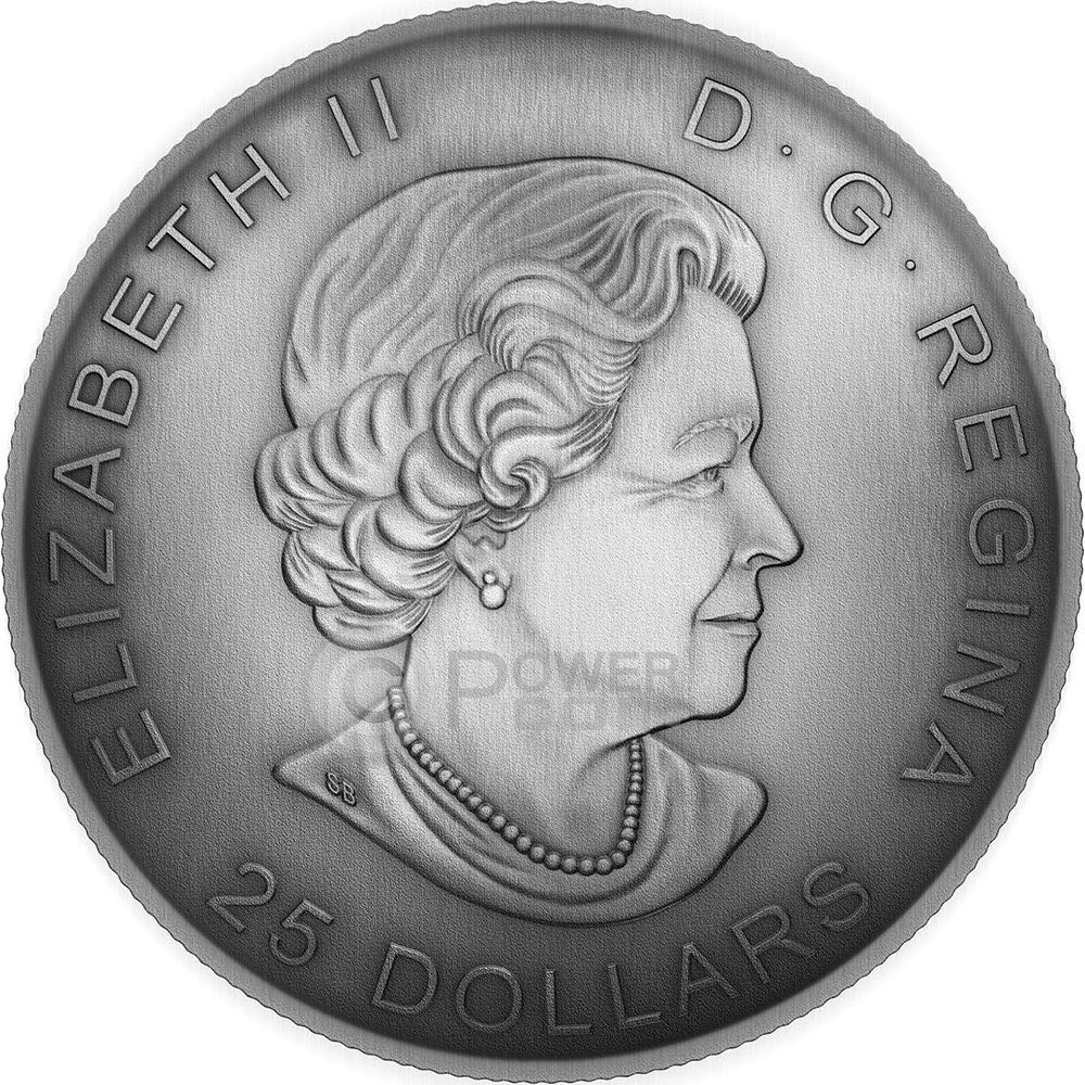 Library Of Parliament Silver  coin collectible - Main Image 2