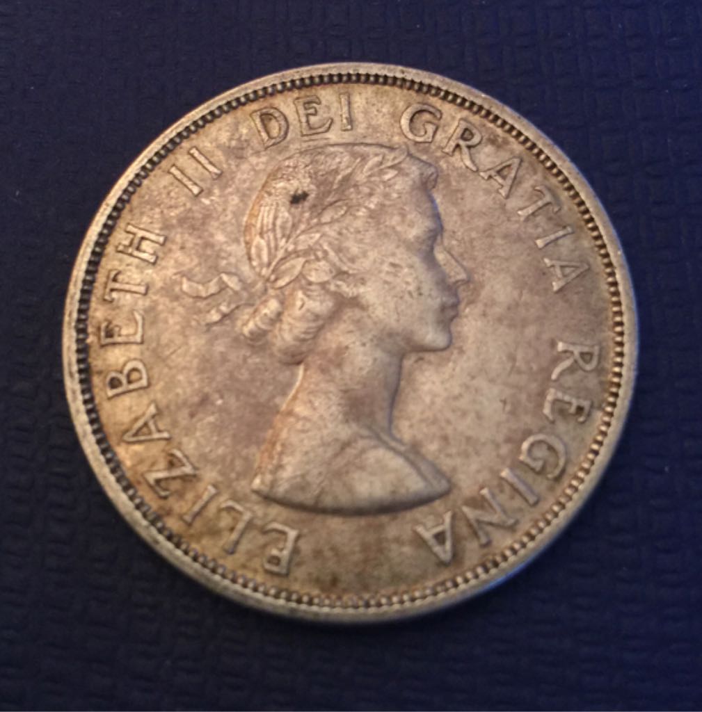 Austrailian Salt Water Crocodile