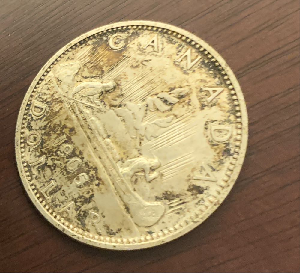 1965 Silver Dollar  coin collectible - Main Image 3