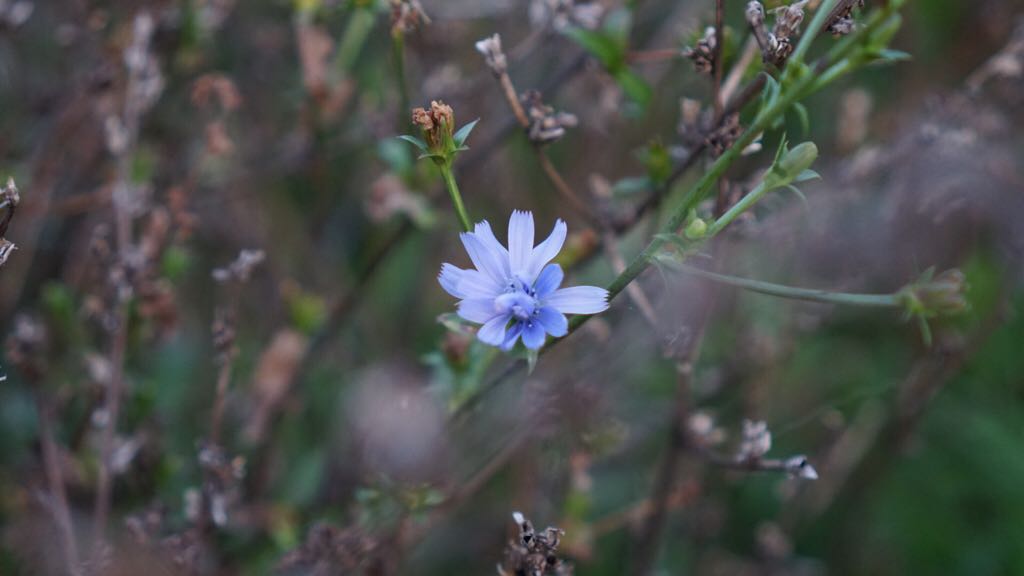 Image 14947