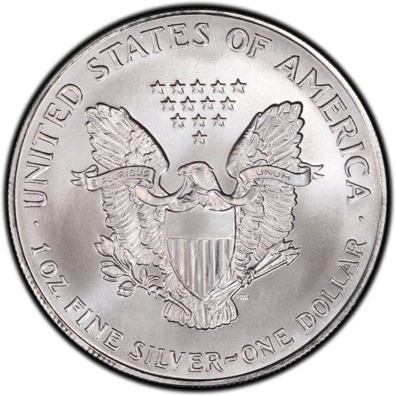 Silver Eagle 1993 Bullion  coin collectible - Main Image 2
