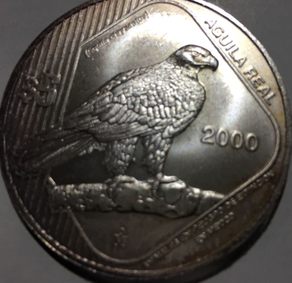 1500 Jahre Bayern- Schloss Neuschwanstein