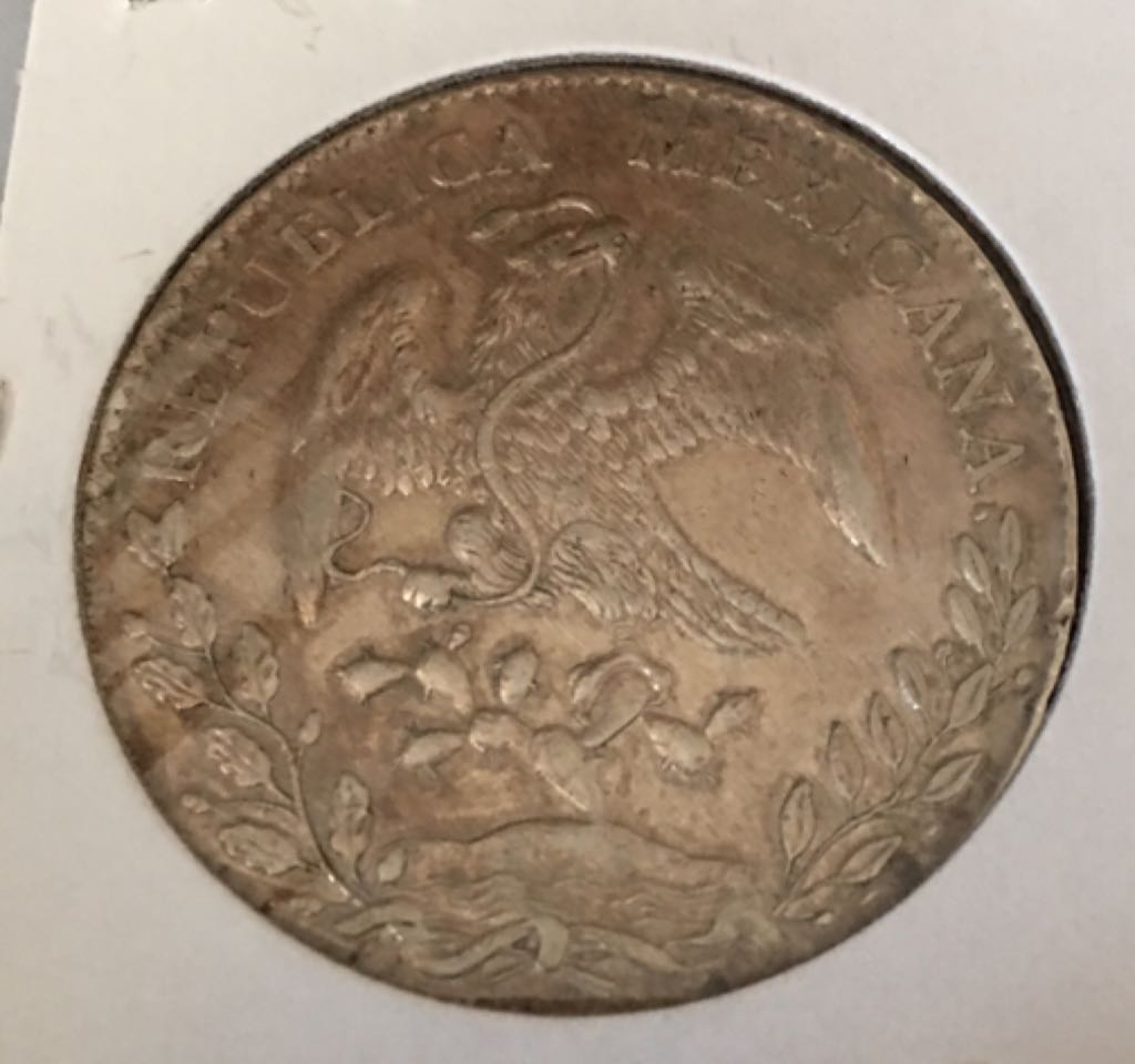 8 Reales (Durango)  coin collectible - Main Image 2