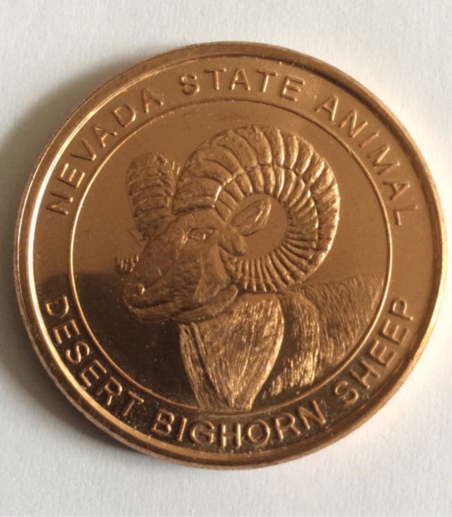 Scottsdale 100 Gram Cast Silver Bar