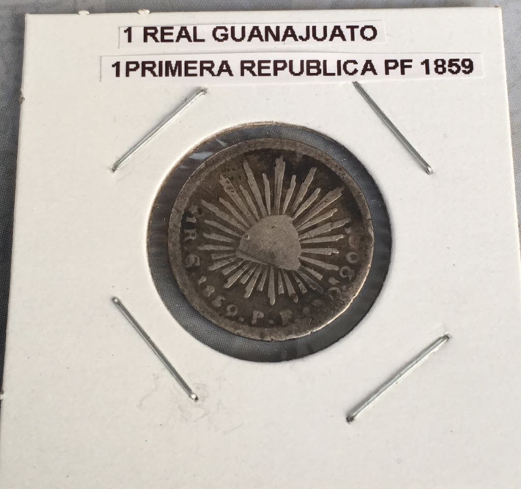 Snow Covered Trees Silver