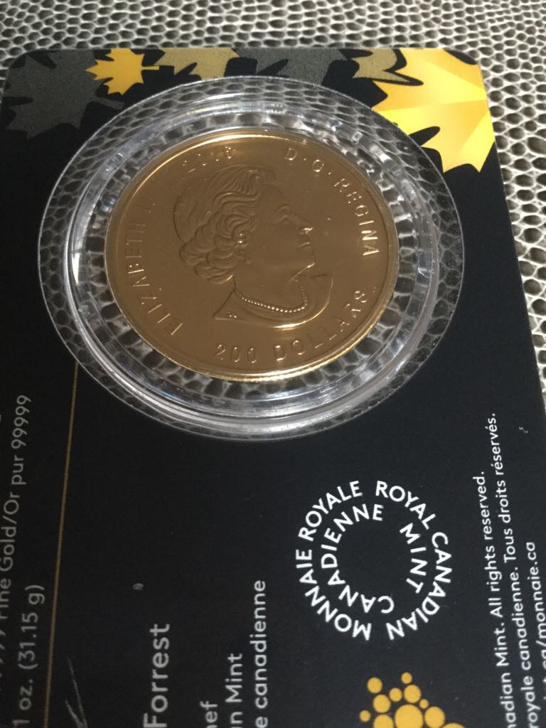 2015 Canadian Roaring Grizzly  coin collectible - Main Image 2