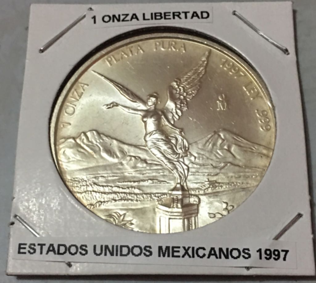 Australia Wedge-Tailed Eagle