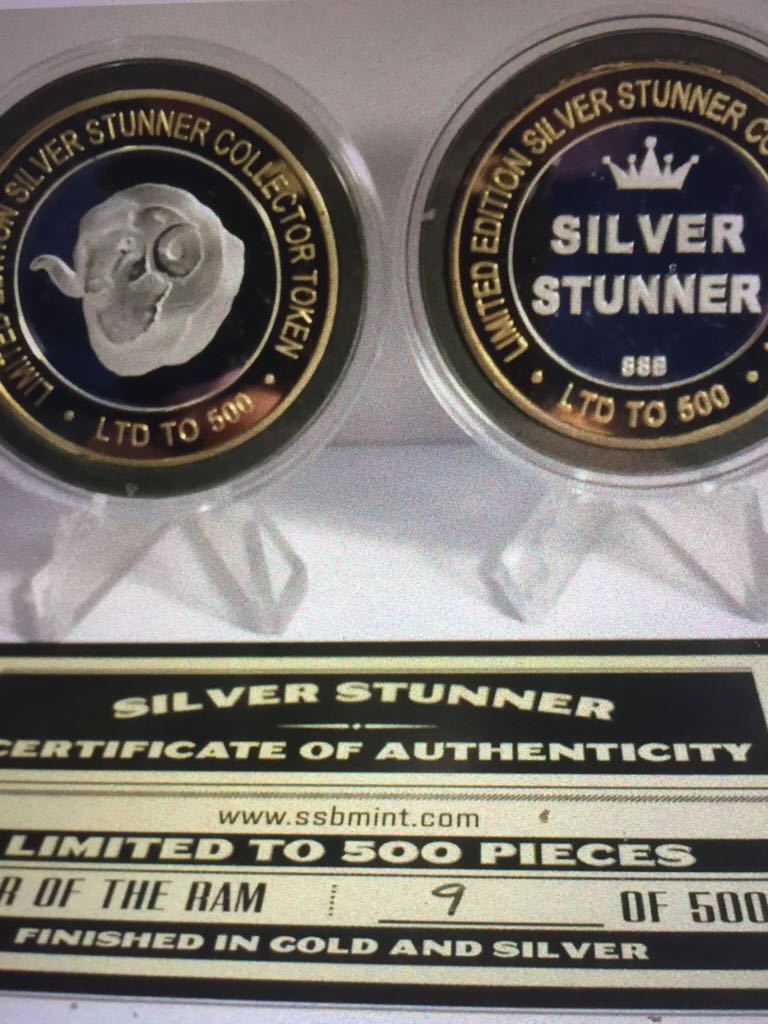Silver Stunner Token  coin collectible - Main Image 2
