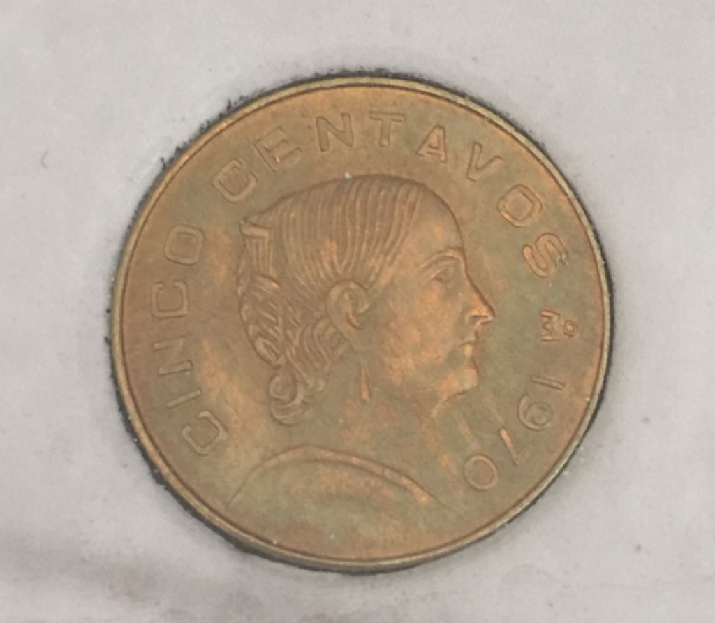 Indian Head Cent Type 3