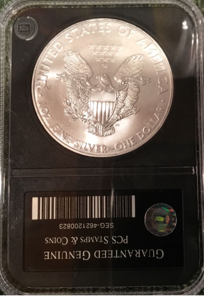 American Eagle 2008  coin collectible - Main Image 2