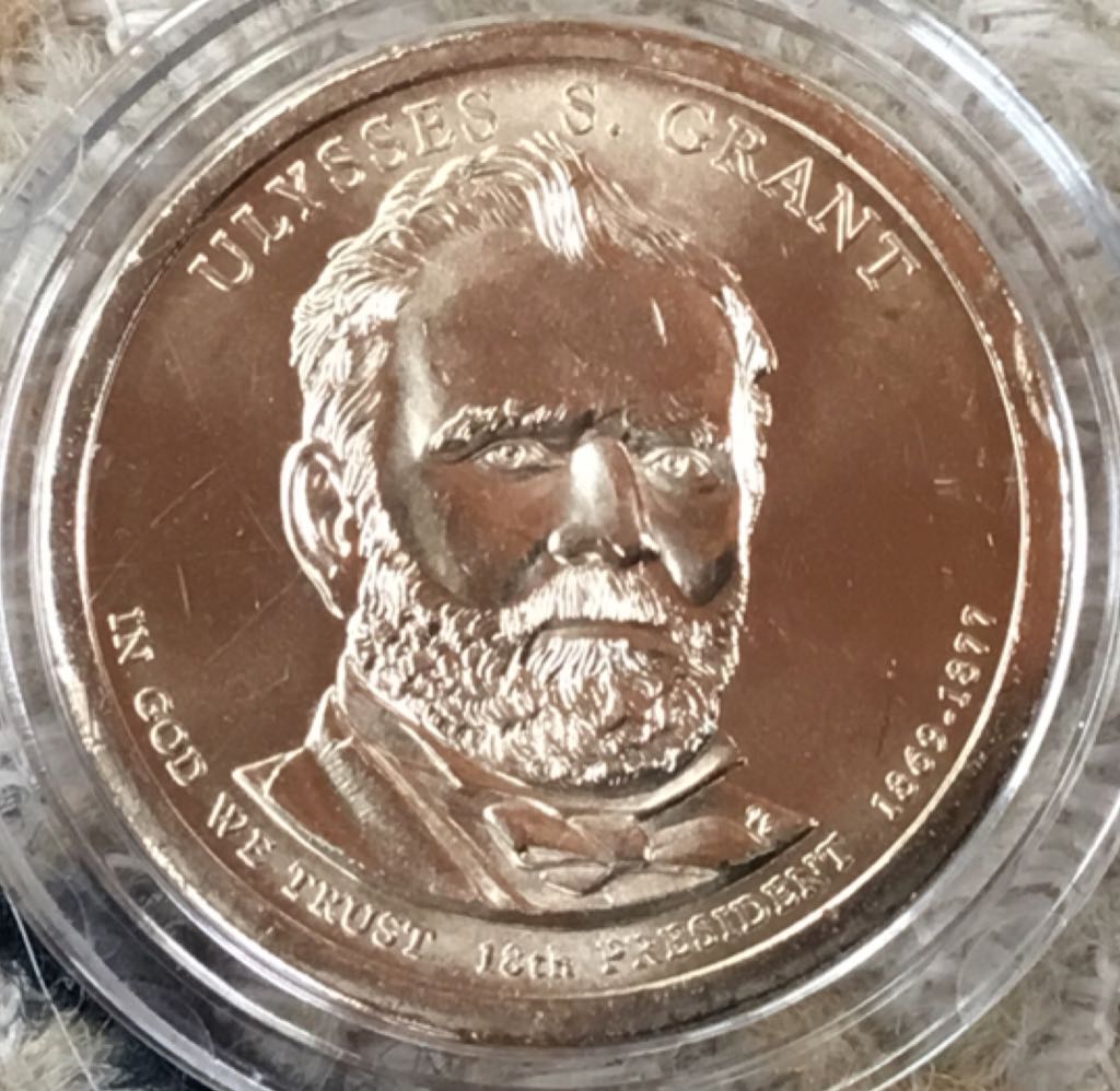 Le Pygargue À Tête Blanche