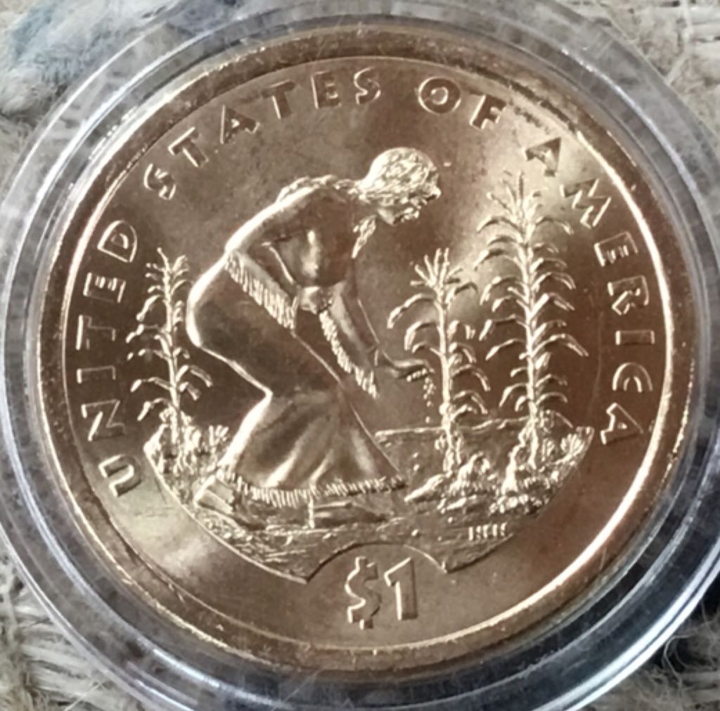 Sacagawea Native American Dollar coin collectible - Main Image 1