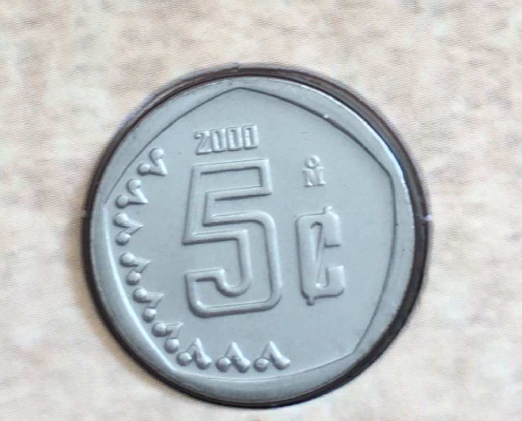 Le Pygargue À Tête Blanche