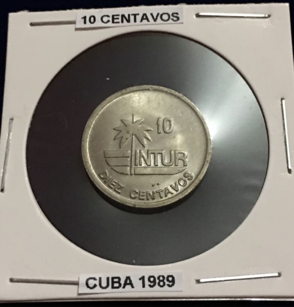 Pygargue À Tête Blanche Une Mère Et Ses Aiglons