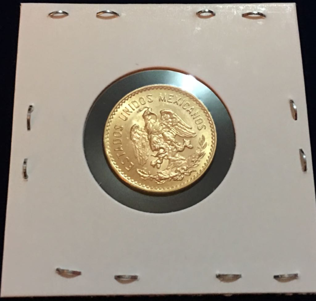 5 Pesos ( Familia Del Centenario)  coin collectible - Main Image 2