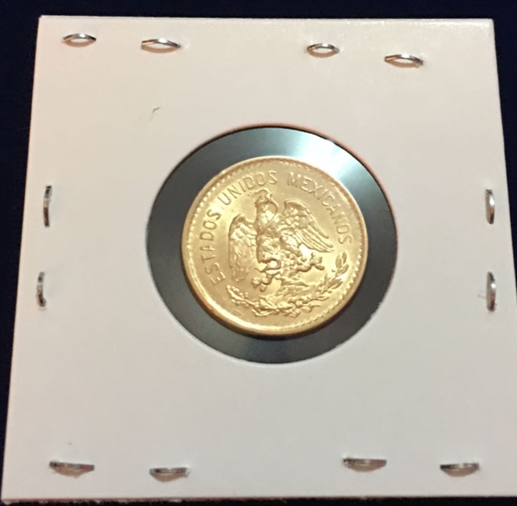 5 Pesos ( Familia Del Centenario)  coin collectible - Main Image 2