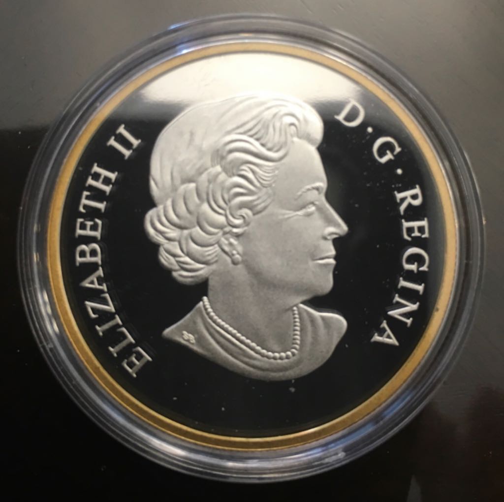 Pygargue À Tête Blanche Perché  coin collectible - Main Image 2