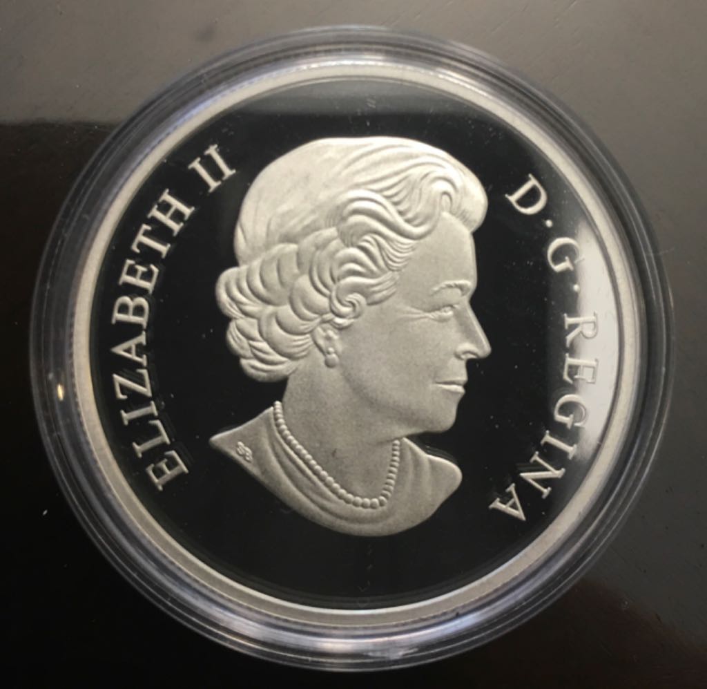 Pygargue À Tête Blanche En Vol  coin collectible - Main Image 2