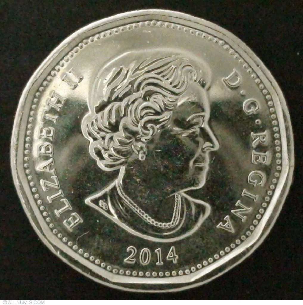 2014 Lucky Loonie Coin Pack  coin collectible - Main Image 2