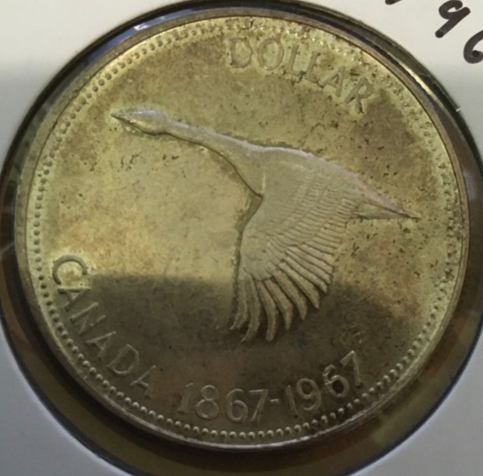 2017 S American Eagle