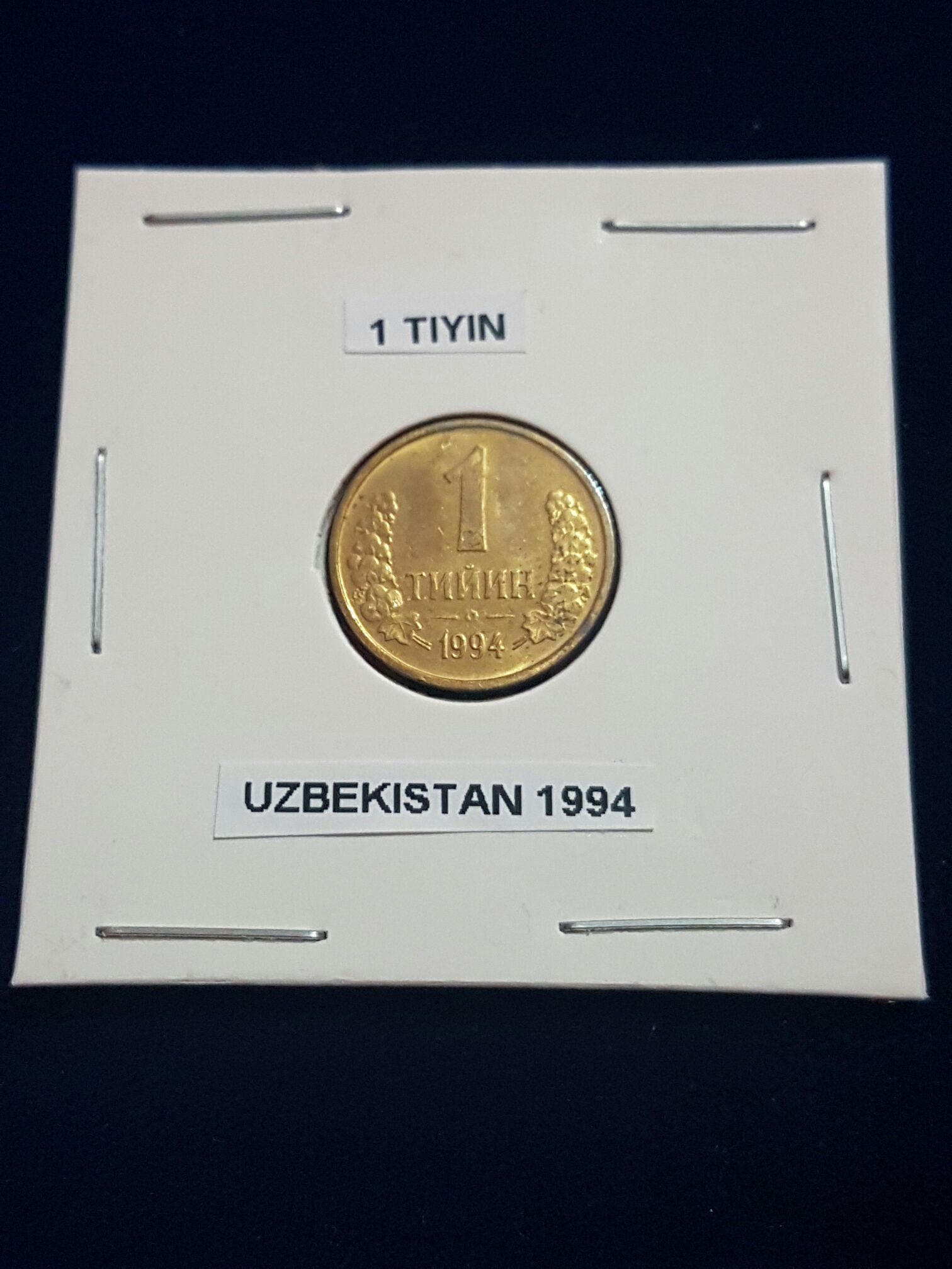 Cased Silver Dollars