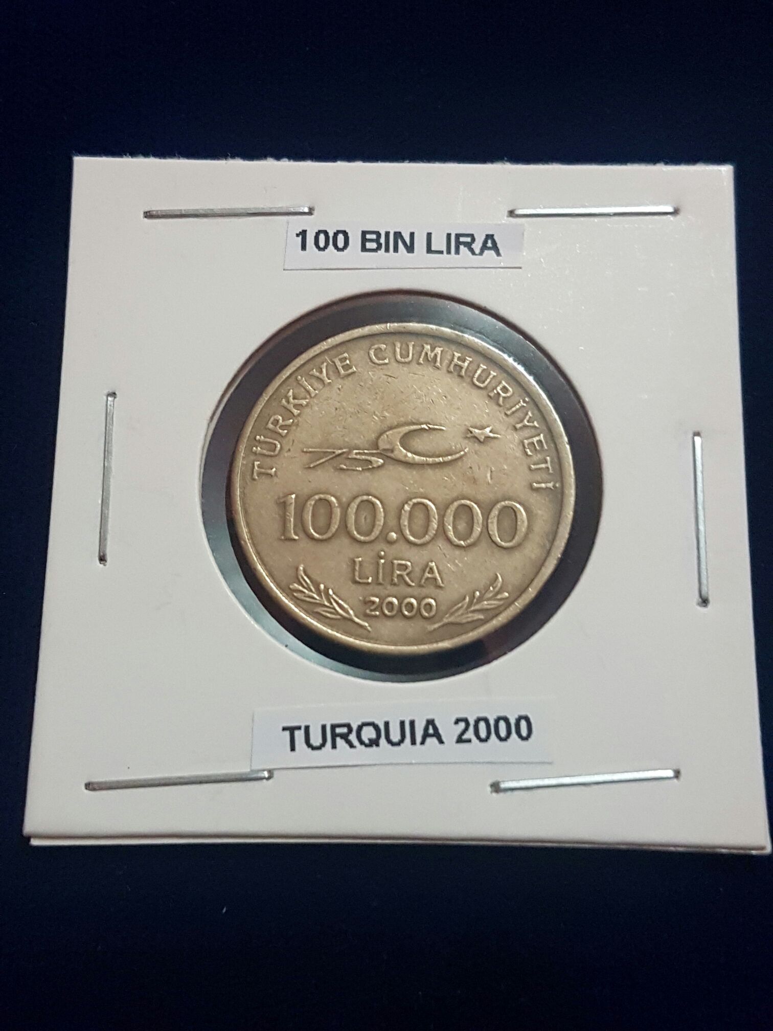 100 Bin Lira  coin collectible - Main Image 2