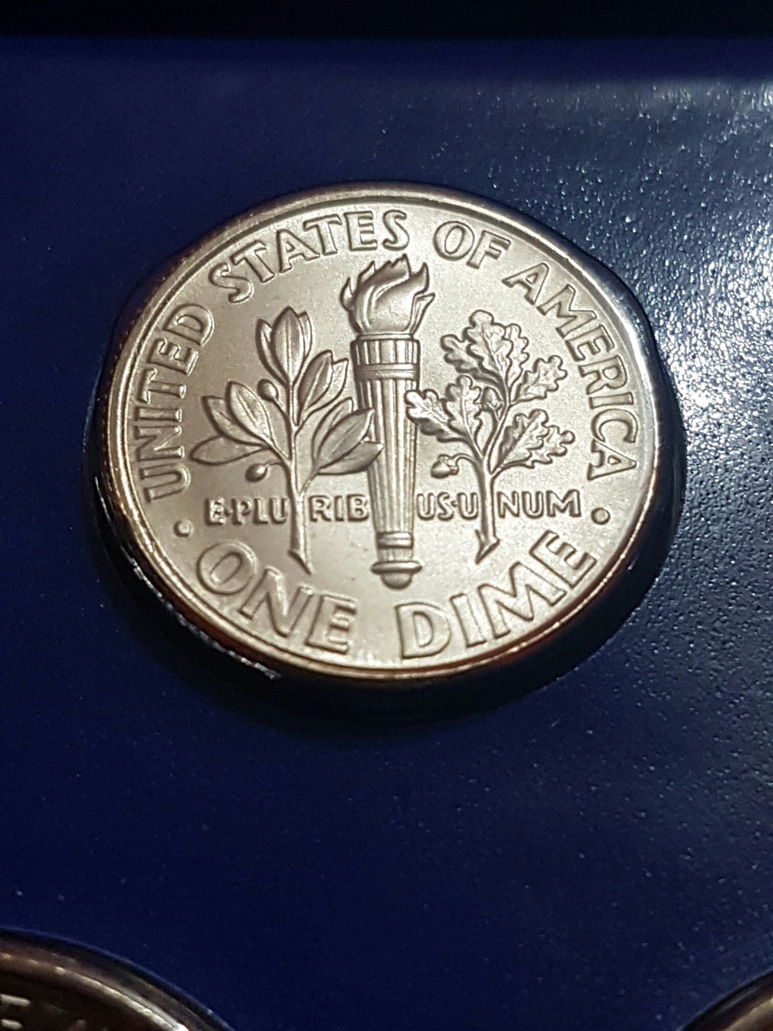 Canadian Silver Maple Leaf 