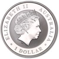 Australian Koala Silver Bullion  coin collectible - Main Image 2