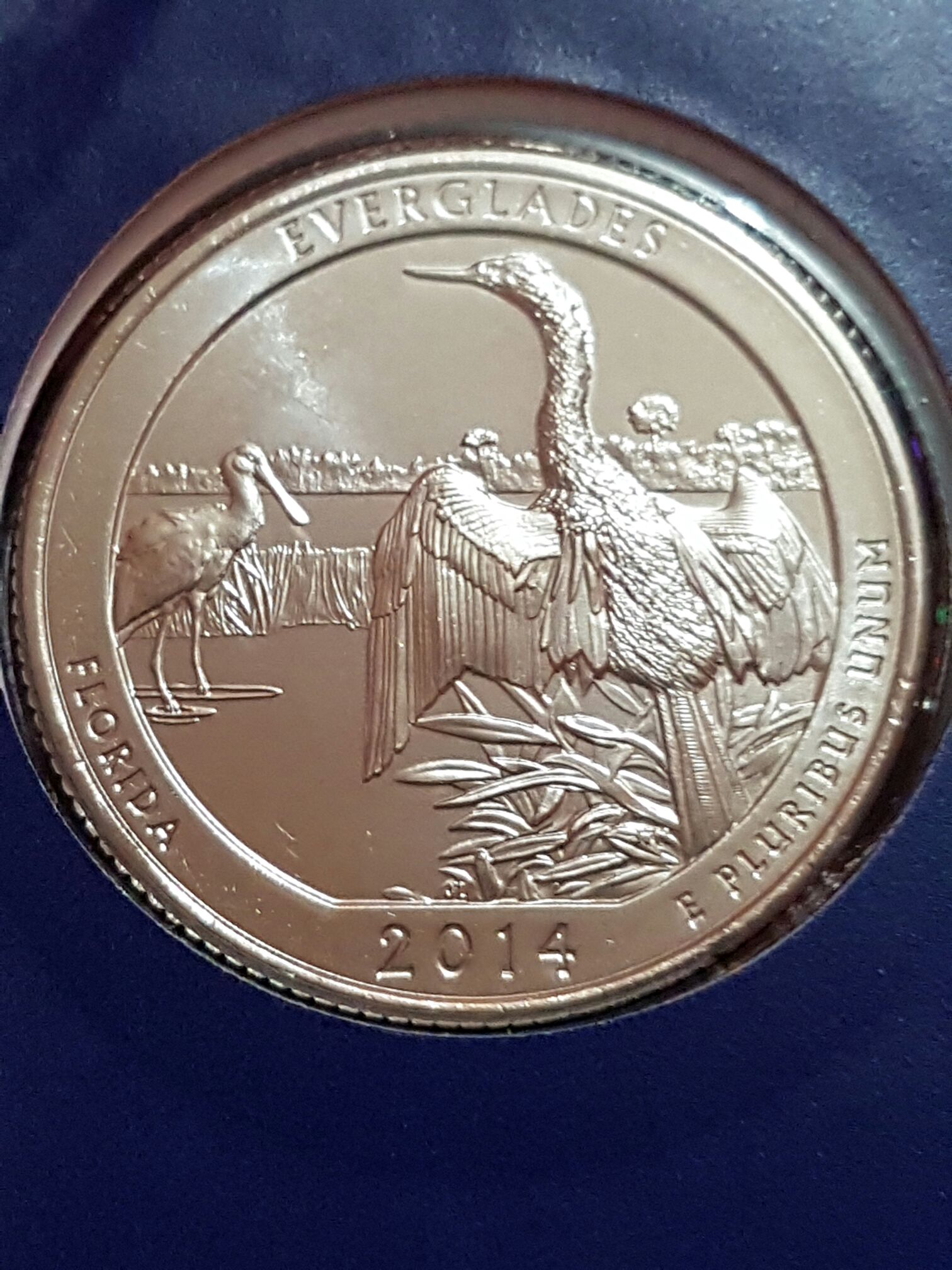 .25 Centavos De Dolar  coin collectible - Main Image 2