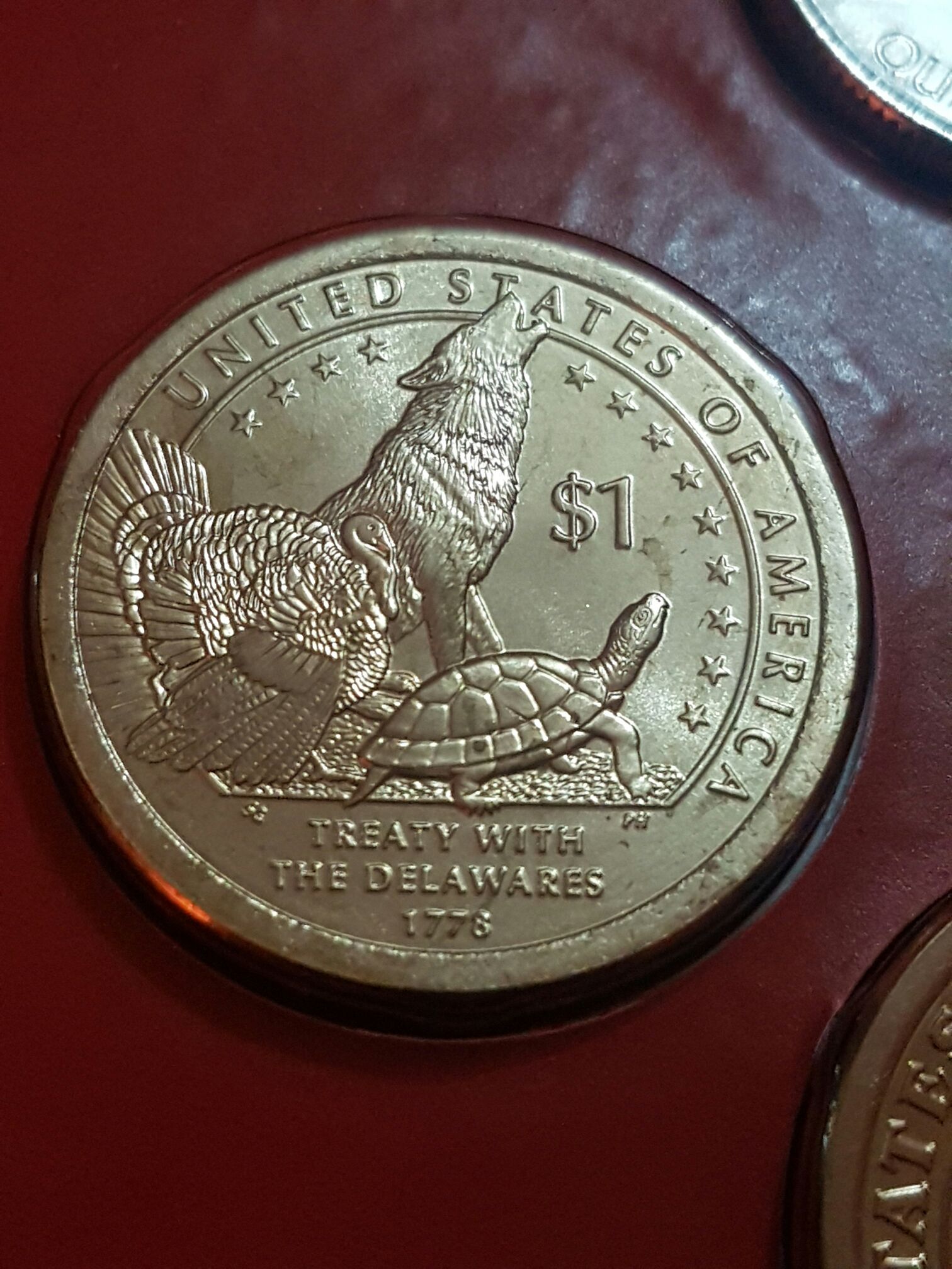 Bird Of Prey - Osprey