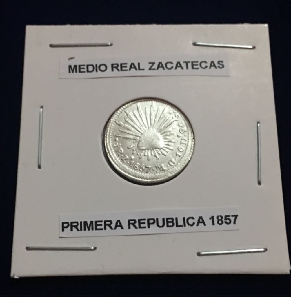 Sterling Silver Loon Dollars