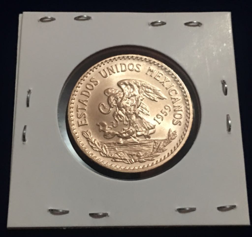 20 Pesos ( Familia Del Centenario)  coin collectible - Main Image 2