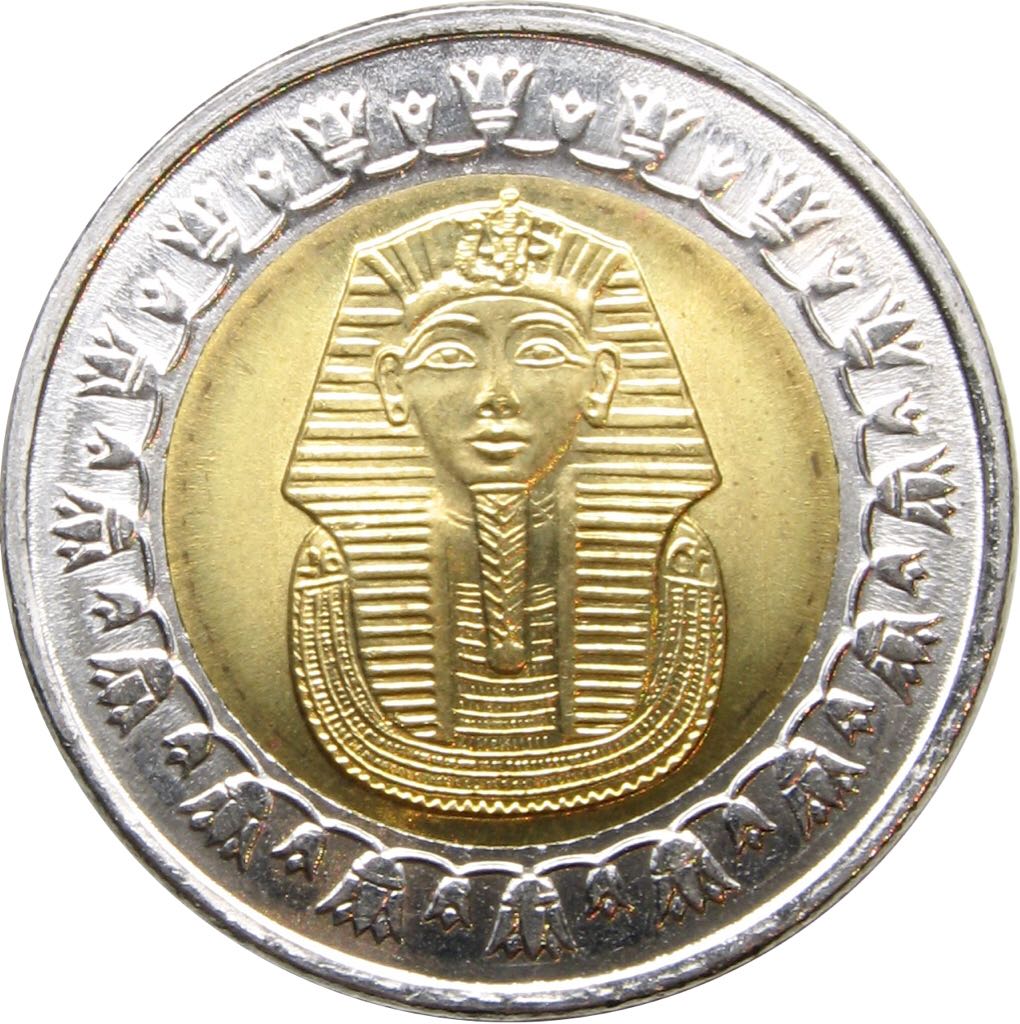 1-Egypt 1 Pound, 2008  coin collectible - Main Image 2
