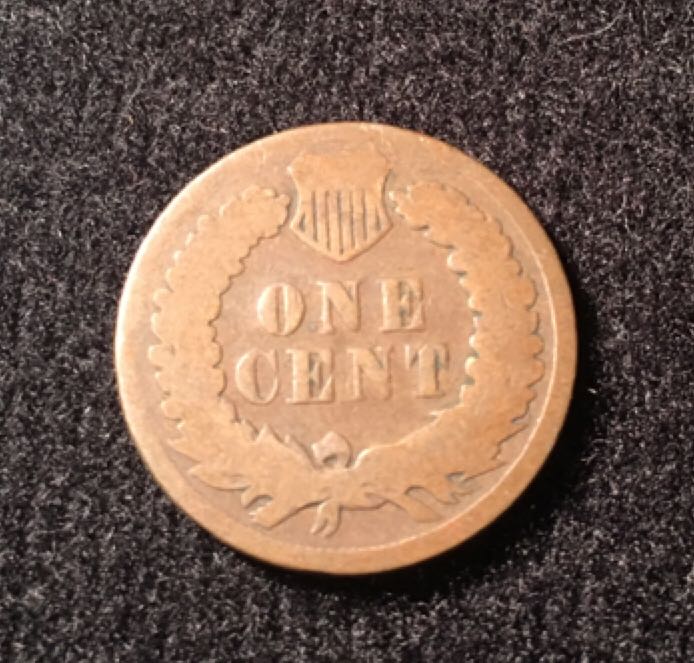 Indian Head Penny  coin collectible - Main Image 2