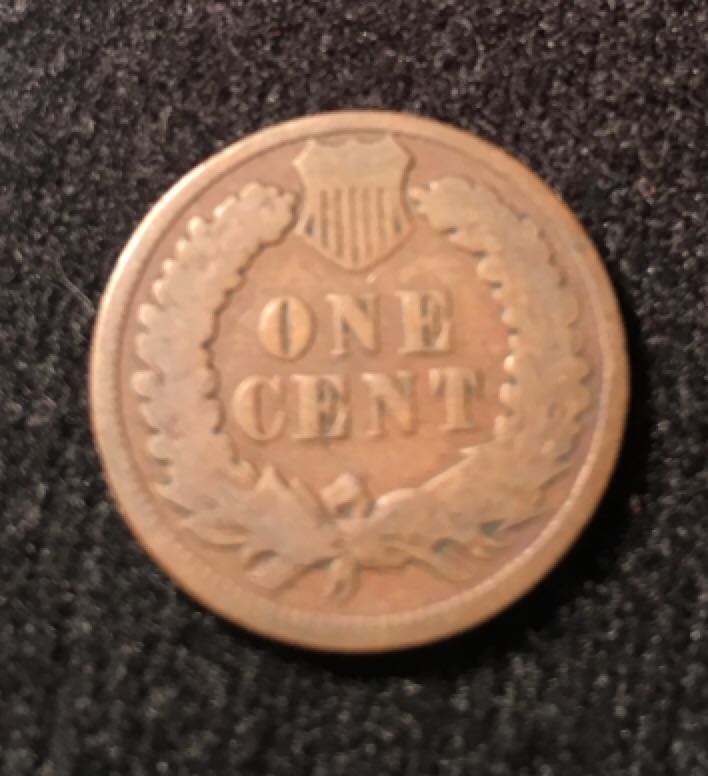 Indian Head Penny  coin collectible - Main Image 2