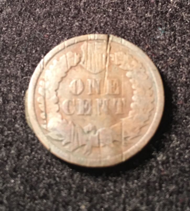 Indian Head Penny  coin collectible - Main Image 2
