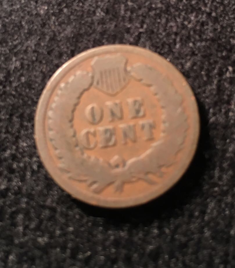 Indian Head Penny  coin collectible - Main Image 2
