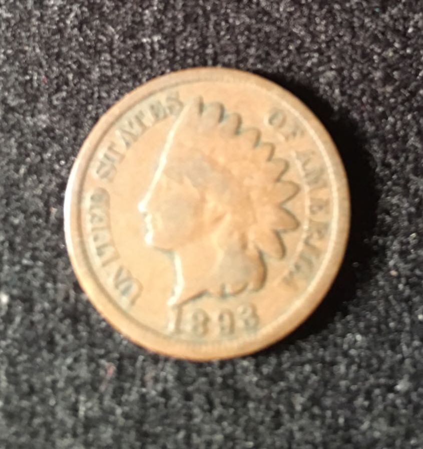 Republic Of Congo Silverback Gorilla