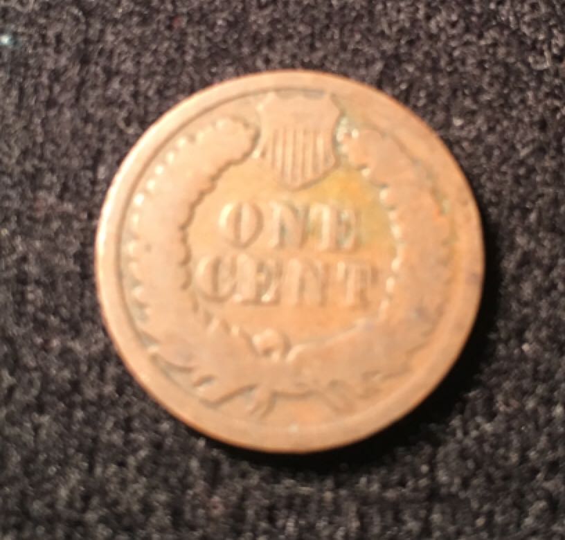 1895 Indian Head Cent  coin collectible - Main Image 2