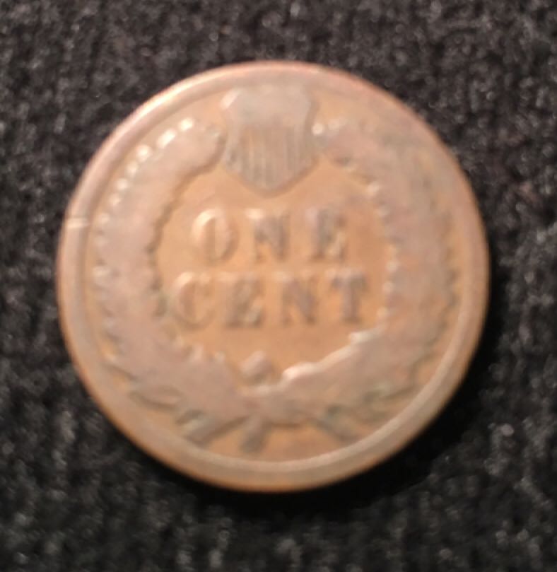 1895 Indian Head Cent  coin collectible - Main Image 2