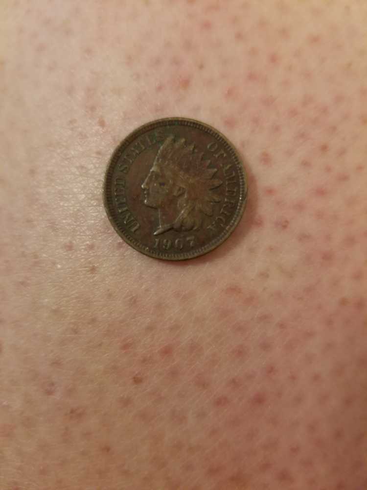 1907 Indian Head Cent  coin collectible - Main Image 3