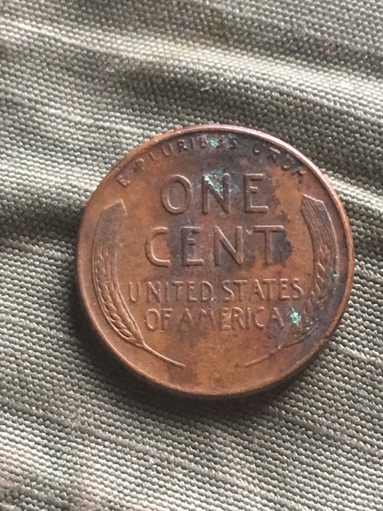 1958 D Wheat Penny  coin collectible - Main Image 2