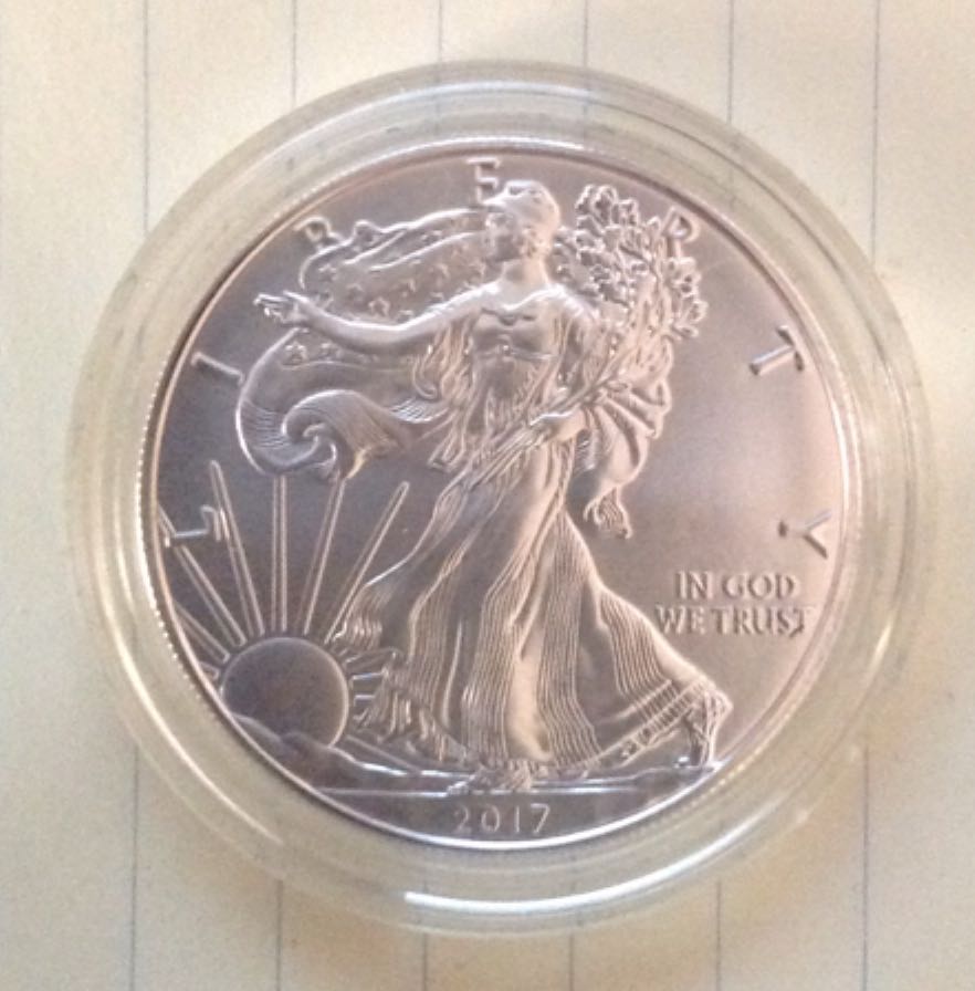 Sir Francis Chichester - Gipsy Moth IV