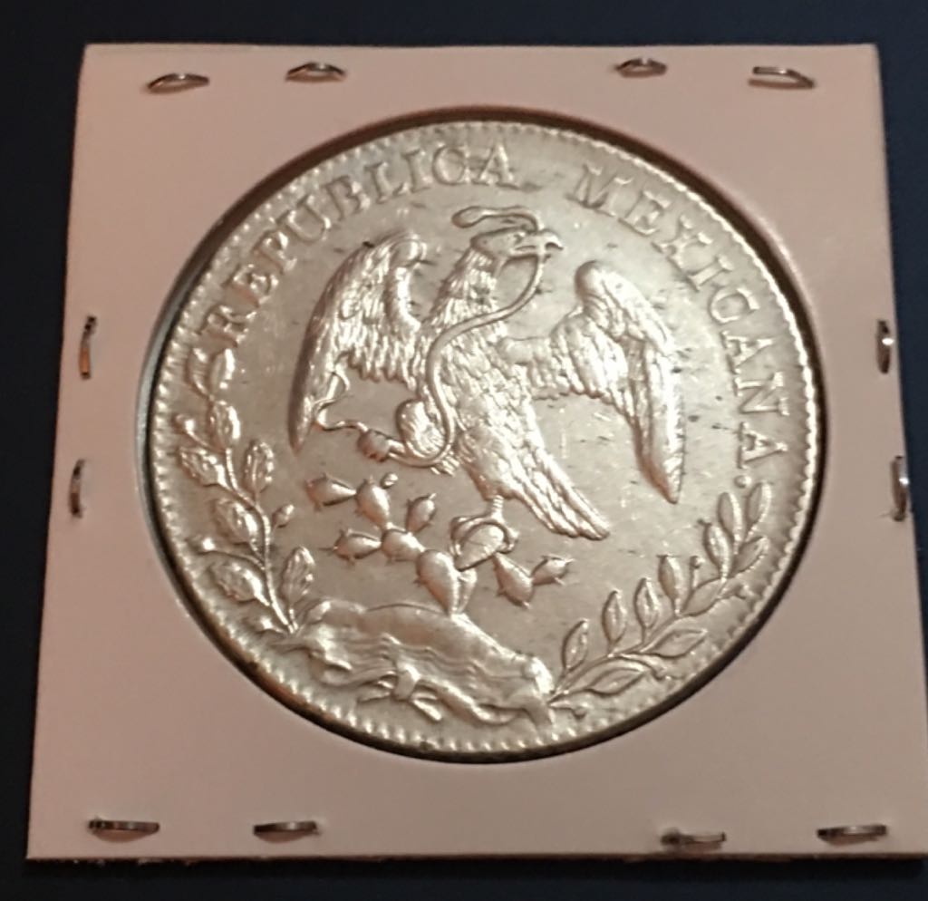 8 Reales Chihuahua  coin collectible - Main Image 2