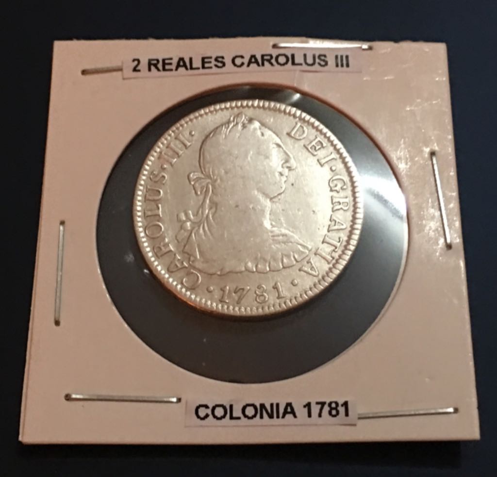 Birds Of Prey - Bald Eagle