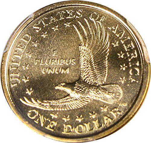 2002 P Sacawagea Dollar  coin collectible - Main Image 2