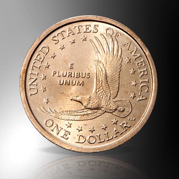 2003 D Sacawagea Dollar  coin collectible - Main Image 2